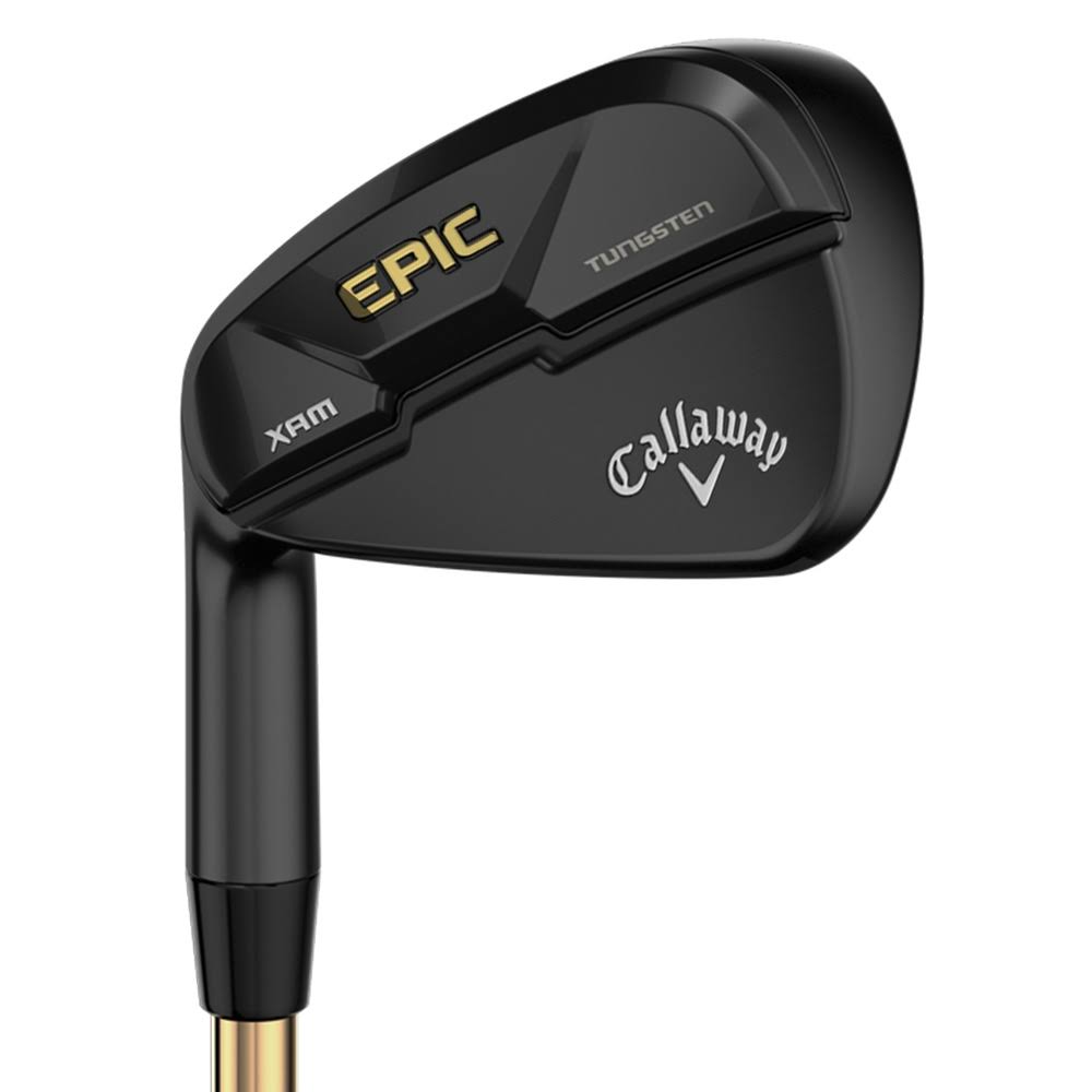Graphite SW Regular LH Iron S806