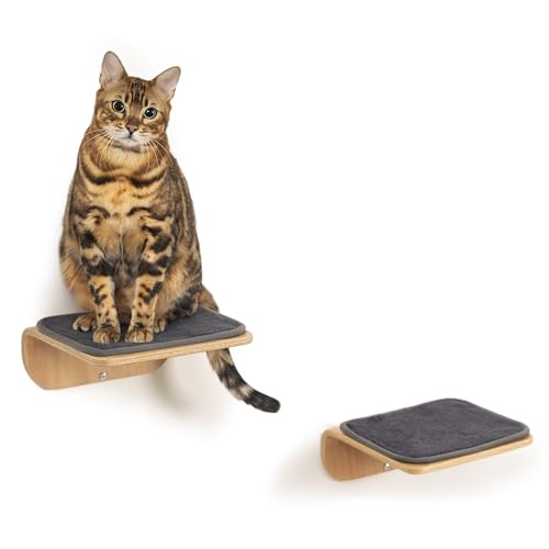 Cat Wall Shelves and Perch with Scratching Cushion V165