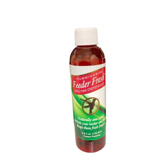 Hummingbird Feeder F34921