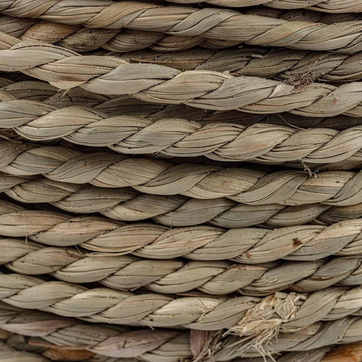 Seagrass Rope 1 Pound Coil F356