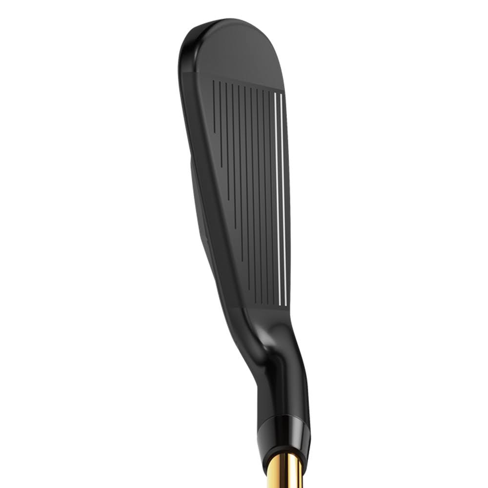 Graphite SW Regular LH Iron S806