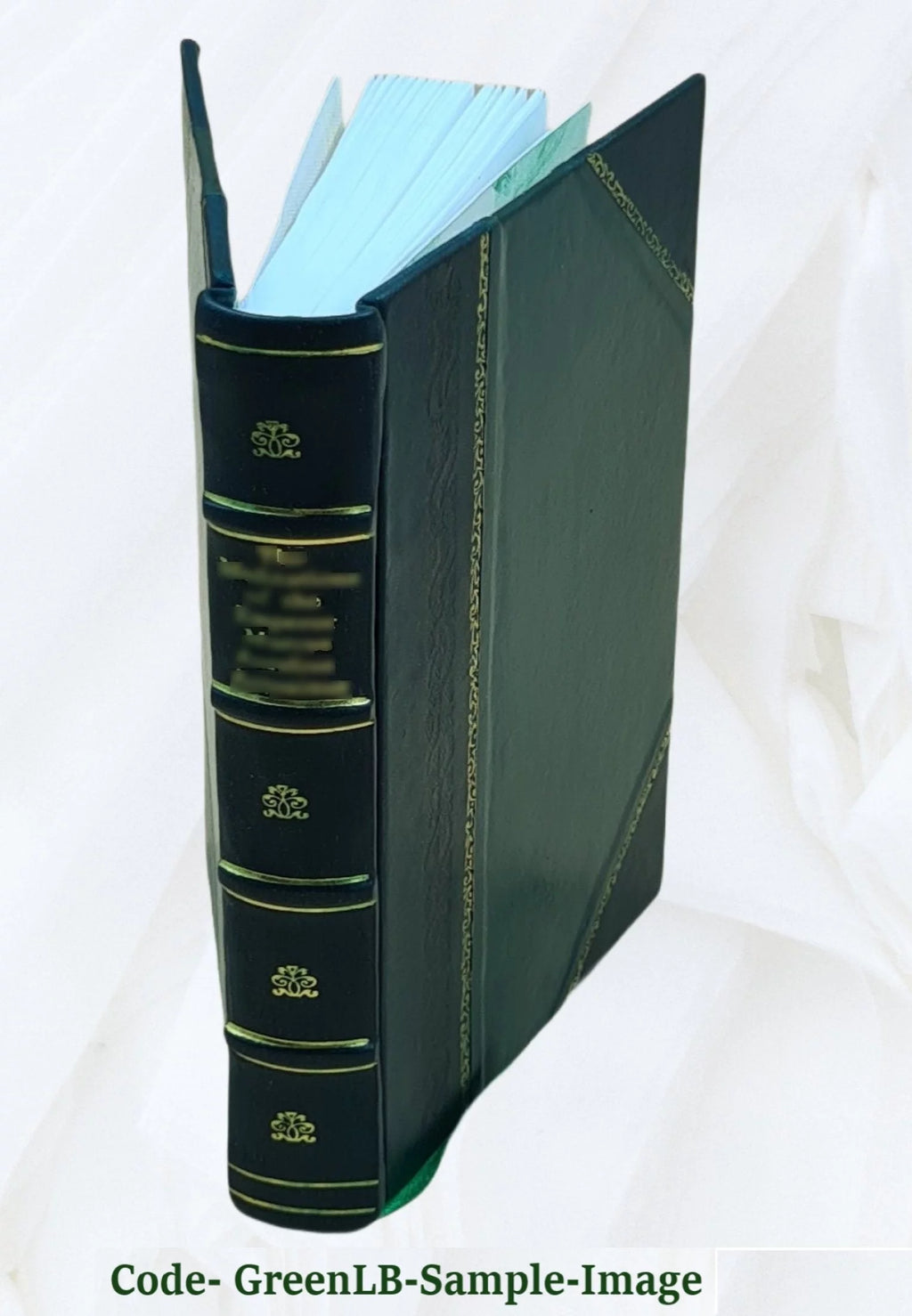 Leather Bound Book T23210