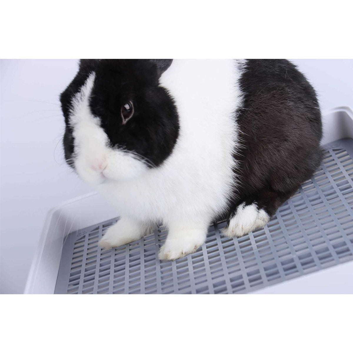 Rabbit Litter Box with Grate M82106