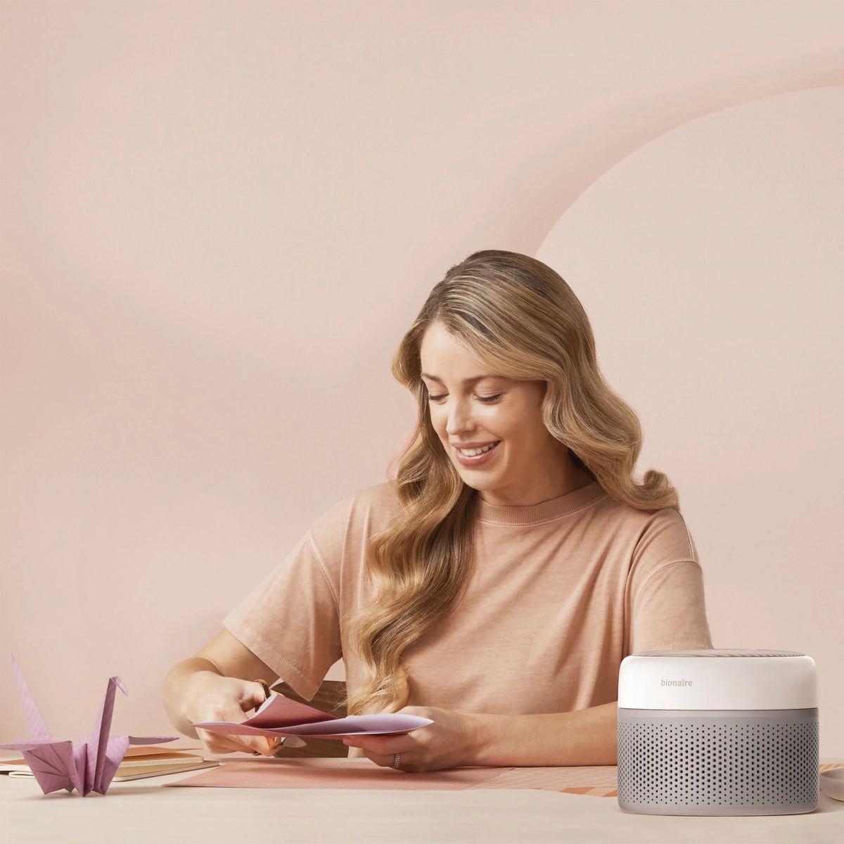 Desktop Air Purifier with True HEPA Filter A1808